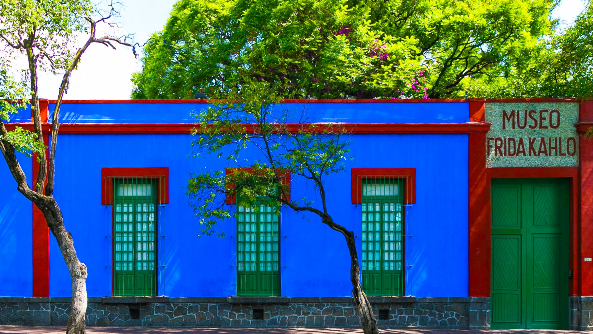 Ciudad de México: ticket de entrada al Museo Frida Kahlo o a la Casa Kahlo